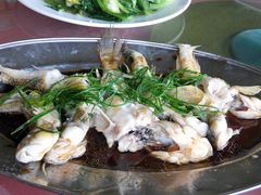 -大湾区中央湿地公园-十九涌