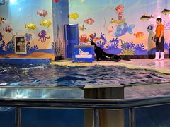 -太平洋海底世界