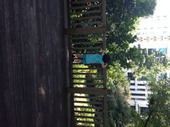 香格里拉大酒店-新加坡香格里拉