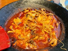 -红辣椒八爪鱼特色韩国料理