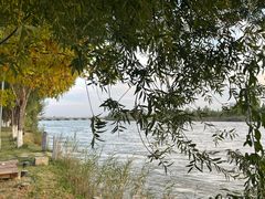 -伊犁河风景区