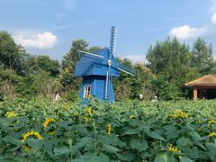 -广州市流溪河国家森林公园