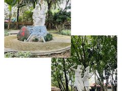 -瑞丽独树成林风景区