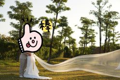 点击看大图 -金夫人婚纱摄影(华南店)