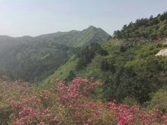 -木兰云雾山