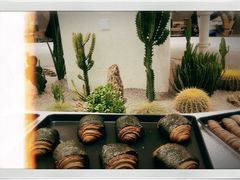 -OUR Bakery(SKP-S店)