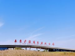 -西安浐灞国家湿地公园