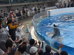 -西海国立公园九十九岛水族馆