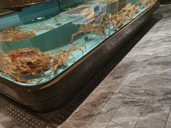 -阿伟海鲜楼·福建菜(延寿店)