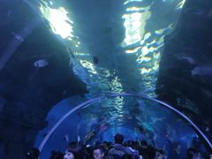 -波塞冬旅游度假区