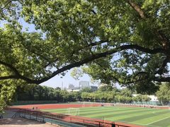 -武汉大学-樱园