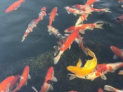 -宁波野生动物园