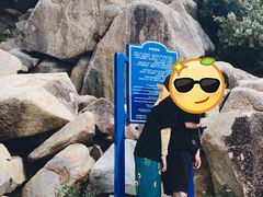 -广东惠东海龟国家级自然保护区