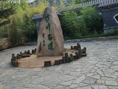 -阳台山自然风景区