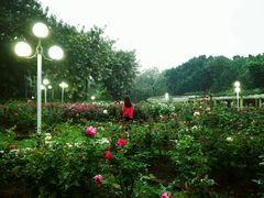 -人民公园(罗湖区)