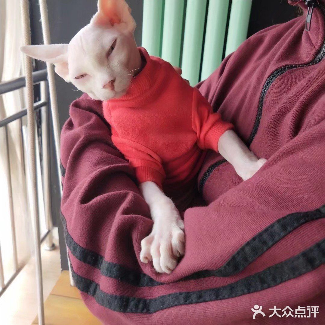 位于小寨东路一又二分之一公寓B座1009 大叔是个爱