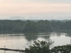 -大湾区中央湿地公园