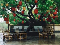 -同里国家湿地公园