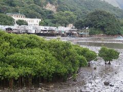 android_upload_pic-大澳