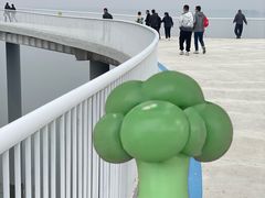 -漳泽水库水上公园
