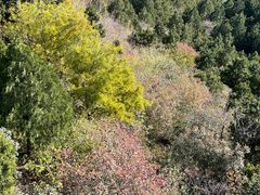 -香山公园