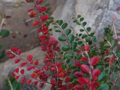 -北京西山国家森林公园