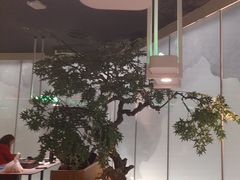 -绿茶餐厅(广州天河城店)