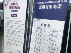 -金谷域澳洲庄园