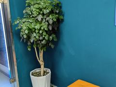 -爱定格照相馆.证件照(周浦万达店)