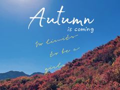 -周口店坡峰岭风景区