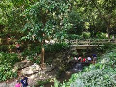 -广州市白云山风景名胜区