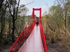 -上海吴淞炮台湾国家湿地公园