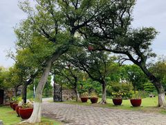 -山水间小院