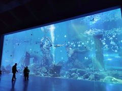 -波塞冬海底世界