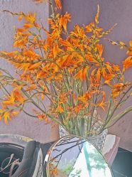 -花隐·美芙炫海菲秀皮肤管理中心