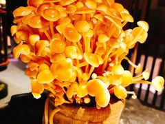 活体金针菇-麻路成都火锅(柏威年店)