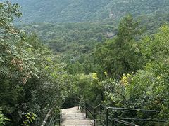 -香山公园