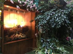 点击看大图 -日光视觉婚纱摄影(旗舰店)
