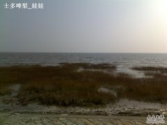 -南汇嘴观海公园