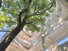 -湖北美术学院(昙华林校区)