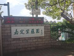 -嘉定紫藤园