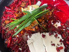 -黄潇洒老火锅(九眼桥宏济巷店)
