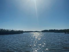 -春花秋色城市公园