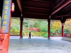 -杭州半山国家森林公园