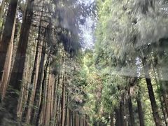 -武陵山森林公园