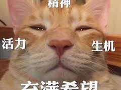 -1点点(建设六马店)