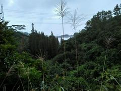 -田心森林公园