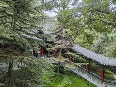 -白塔山公园