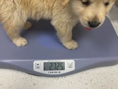 -芭比堂动物医院·CT·微创中心(新顺分院)