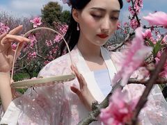-南汇桃花村
